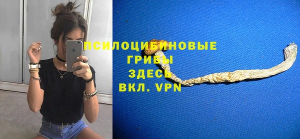 PSILOCYBIN Волоколамск