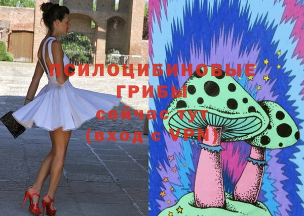 PSILOCYBIN Волоколамск