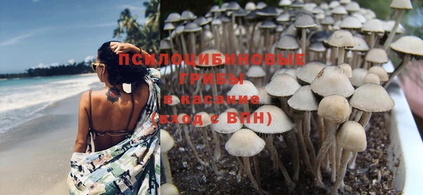 стафф Волосово