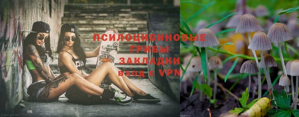 PSILOCYBIN Волоколамск